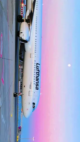 #aviation #frankfurt #airport #germany🇩🇪 #morning #lufthansa #Runway #a321 #planespotting #4you #trip #travel #flying 