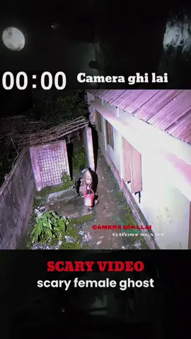 real ghost #cctv #ghost #animal #pov #scary #horror 
