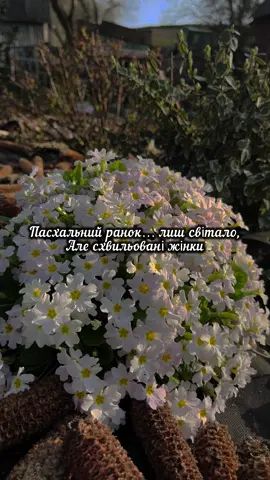 Пасхальний ранок… Олена Пархомович #пасха #великдень #easter #christianity #поезія