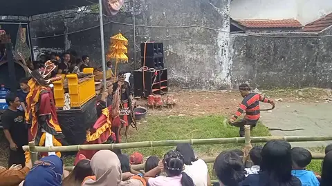 kesenian jaranan ( CAHYO BUDOYO ) #jemberjawatimur #fyp