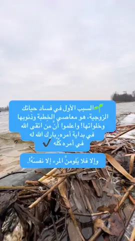 #أبلغكم #السعودية🇸🇦 #المدينة_المنورة 