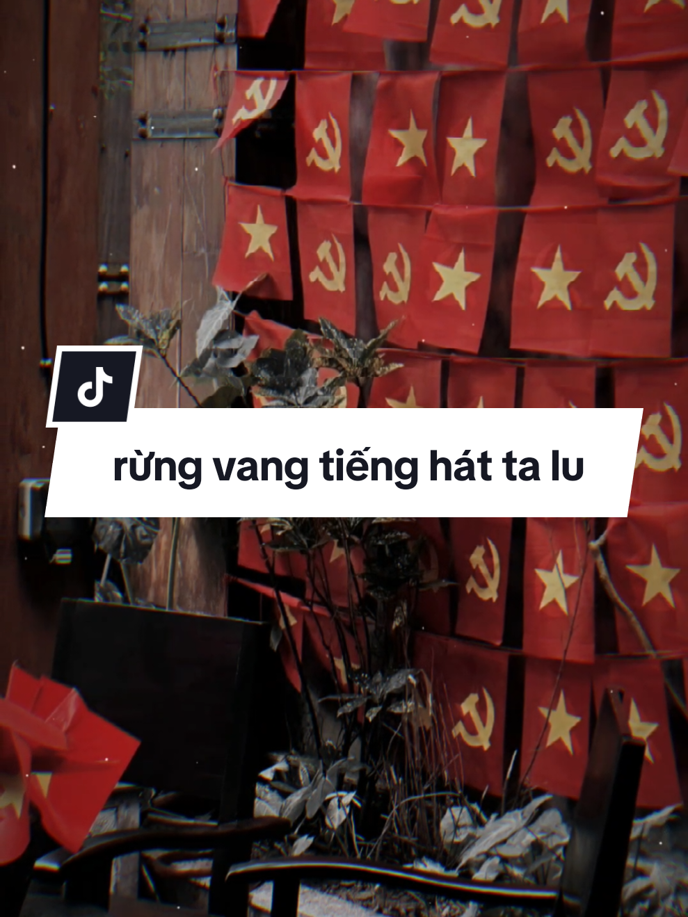Một dân tộc - Một trái tim - Một Việt Nam!🇻🇳 #CapCut #nhachaymoingay #daisucctt #vandat 