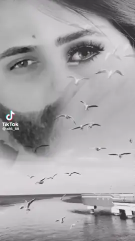 🥺🥀 #اشتاق_لك_واجبر_الشوق_بالصمت💔💔  #💔