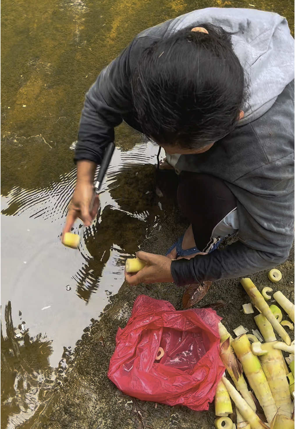 Membersihkan rebung langsung di air mengalir 💦🌊 #fyp #fypviralシ #rebung #rebungbambu #asmr #asmrnature #kalimantan #kalimantanbarat #CapCut 