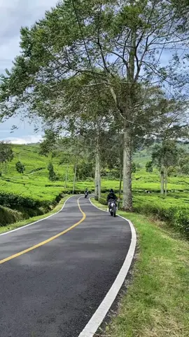 Enak bgt belajar mtr vixion😋🗿 #vixionbabyblack #babyblack #vixion_modifikasi #vixionroadrace #vixiongank #vixion150 #foryou #fyp 