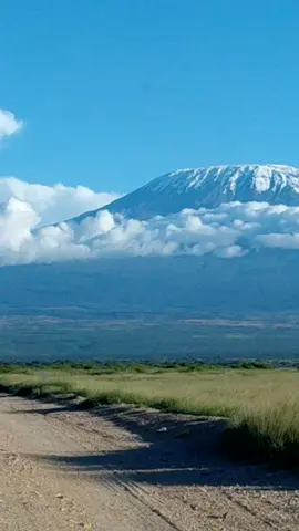 Oldoinyo Oibor(Mt. Kilimanjaro) at a distant from Amboseli National Park  #maasaitiktokers  #samburutiktokers♥️♥️♥️  #kajiadotiktokers 