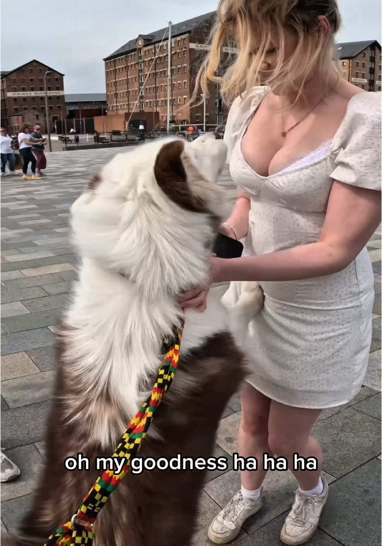 Interactions with Viola!!  #viral #pets #fyp #doglover #petlover #dogs #foryou #viola 