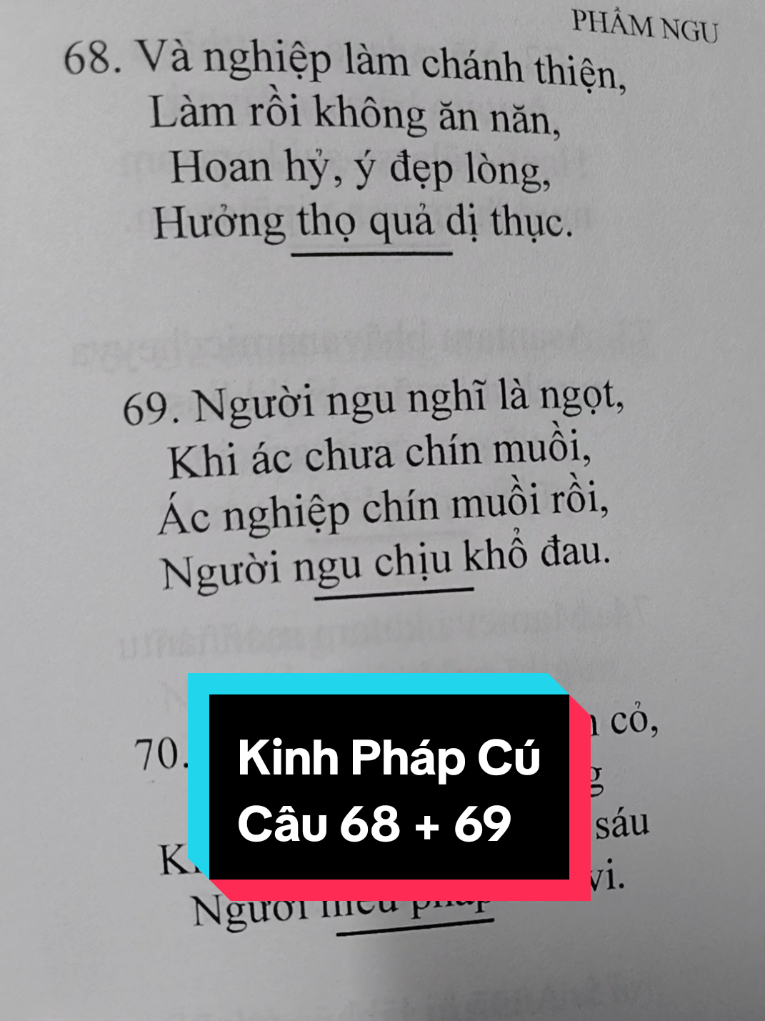 Trả lời @trc.kha7  🙏Nam Mô A Di Đà Phật. Hành trình tập học Phật Kinh Pháp Cú Câu 68 + 69 #kinhphapcu  #chiasephap  #nuoiduongbodetam 