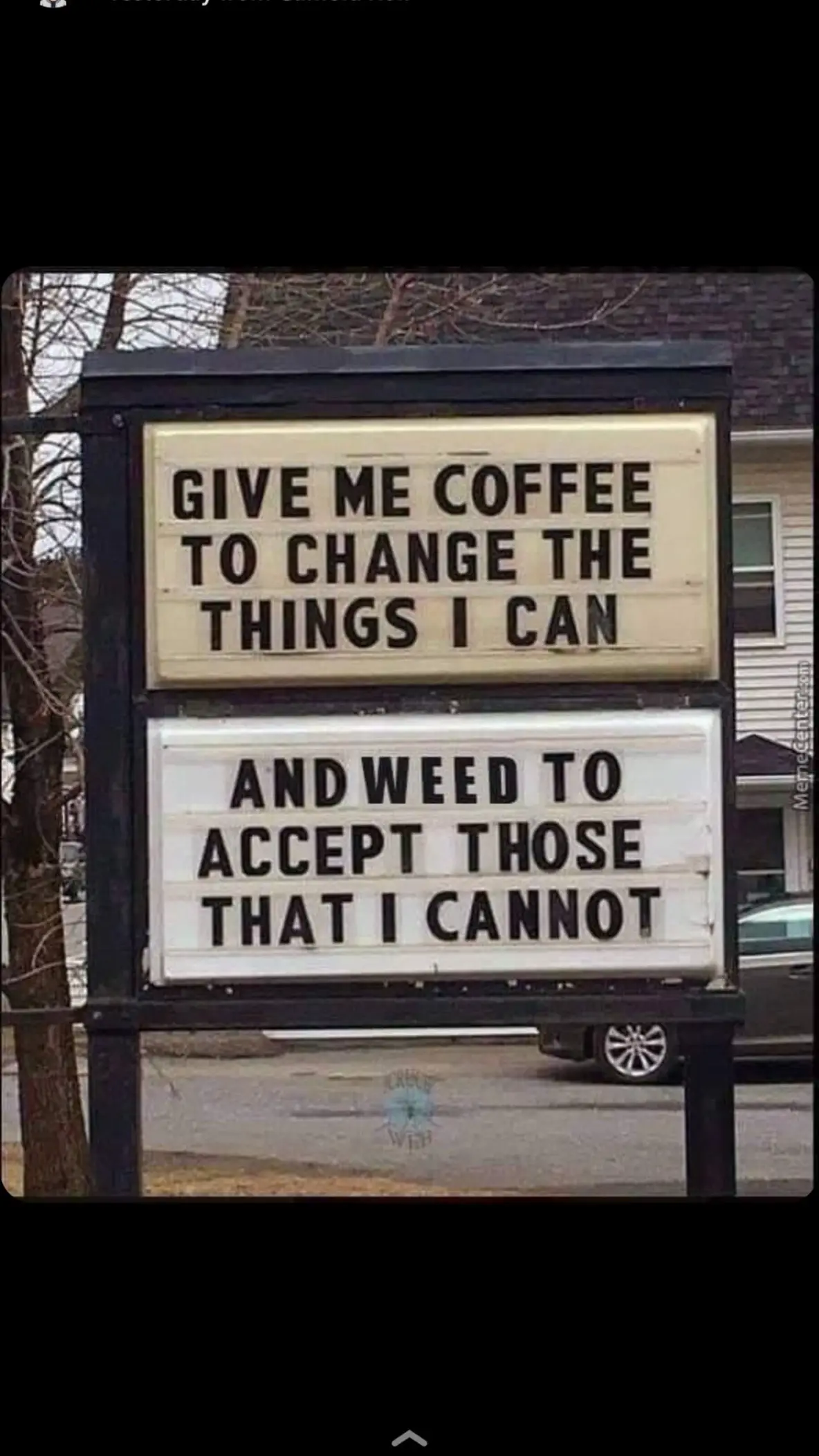 Happy Resurrection Sunday🥰✝️ Happy Leaf Erickson Day🤓🌬️🍃😅