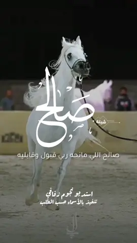 شيلة باسم صالح 2025 شيلة مدح صالح #استديو_نجوم_زفافي #لطلب_الشيلات_0505336824  #السعودية #الكويت #قطر #تصميم_فيديوهات🎶🎤🎬تصميمي🔥 #تصميم_اسماء_حسب_الطلب #شيلة_صالخ #شيلة_مدح_صالح #صالح   .  .  .  .  .  .  .  .  .  .  .  السعودية🇸🇦قطر🇧🇭الامارات🇦🇪لكوي #الكويت🇰🇼 #الكويت🇰🇼🇸🇦السعوديه ##للطلب_الشيلات_والـــــــــــــــزفات_التواصل_معنا_وتساب_من_داخل_المملك -شيلات_زفات_تخرجات_مواليد_عقد_قران_مولوده_مولود_شيلات_خروج_من_ال. ر. ظظةسجن_شيلات_خروج-بسلامه-شيلات-شفاء_وسلامه_شيلات_تقاعد_تخرج_ملازم_تخرج_عسكري_تخرج_من_الدفاع_المدني_الكويت_قطر_السعودية_الامارات_البحرين_الكويت_الرياض_المدينه_ابها_شيلات_حماسيه_طرررب_شيلات_عـــــرسان_شيلات_ام_العروس_شيلات_ام_العروسه_شيلات_خطوبه_زفات_بالاسماء_زفات_بدون-اسماء-كتابة_كلمات_جديدة_0505336824_من-خارج_المملكه_ 00966505336824-استديو_لمست_احلامي_لتنفيذ_الشيلات_والزفات_والقصائد_الشعريه_لجميع_المناسبات_شيلات_مهنا_العتيبي_فهاد_العلي_النايف_فواز_العنزي_شيلات_بنت_ابوها_شيلة_شامخه_بنت_ابوها_الرياض_جده_مكه_المكرمه_ابها_قطر_البحرين_الكويت_الامارات_شيلات_سعد_محسن_شيلات_ناصر_السيحاني_شيلات_عز_السعود_شيلات_قايد_الوبيري_2024_شيلات_فلاح_المسردي_شيلات_الجفراني_شيلات_بندر_بن_عوير_فهد_بن_فصلا_محمد_بن_غرمان_جديد_كتابة_كلمات_جديدة_0505336824_من-خارج_المملكه_00966505336824_استديو_لمسات#للطلب_الشيلات_والـــــــــــــــزفات_التواصل_معنا_وتساب_من_داخل_المملك -شيلات_زفات_تخرجات_مواليد_عقد_قران_مولوده_مولود_شيلات_خروج_من_السجن_شيلات_خروج-بسلامه-شيلات-شفاء_وسلامه_شيلات_تقاعد_تخرج_ملازم_تخرج_عسكري_تخرج_من_الدفاع_المدني_الكويت_قطر_السعودية_الامارات_البحرين_الكويت_الرياض_المدينه_ابها_شيلات_حماسيه_طرررب_شيلات_عـــــرسان_شيلات_ام_العروس_شيلات_ام_العروسه_شيلات_خطوبه_زفات_بالاسماء_زفات_بدون-اسماء-كتابة_كلمات_جديدة_0505336824_من_خارج_المملكه_ 00966505336824-استديو_لمسات_أحلامي_لتنفيذ_الشيلات_والزفات_والقصائد_الشعريه_لجميع_المناسبات_شيلات_مهنا_العتيبي_فهاد_العلي_النايف_فواز_العنزي_شيلات_بنت_ابوها_شيلة_شامخه_بنت_ابوها_الرياض_جده_مكه_المكرمه_ابها_قطر_البحرين_الكويت_الامارات_شيلات_سعد_محسن_شيلات_ناصر_السيحاني_شيلات_عز_السعود_شيلات_قايد_الوبيري_2024_شيلات_فلاح_المسردي_شيلات_الجفراني_شيلات_بندر_بن_عوير_فهد_بن_فصلا_محمد_بن_غرمان_جديد_كتابة_كلمات_جديدة_0505336824_من-خارج_المملكه_00966505336824_استديو_لمسات#للطلب_الشيلات_والـــــــــــــــزفات_التواصل_معنا_وتساب_من_داخل_المملك -شيلات_زفات_تخرجات_مواليد_عقد_قران_مولوده_مولود_شيلات_خروج_من_السجن_شيلات_خروج-بسلامه-شيلات-شفاء_وسلامه_شيلات_تقاعد_تخرج_ملازم_تخرج_عسكري_تخرج_من_الدفاع_المدني_الكويت_قطر_السعودية_الامارات_البحرين_الكويت_الرياض_المدينه_ابها_شيلات_حماسيه_طرررب_شيلات_عـــــرسان_شيلات_ام_العروس_شيلات_ام_العروسه_شيلات_خطوبه_زفات_بالاسماء_زفات_بدون-اسماء-كتابة_كلمات_جديدة_0505336824_من-خارج_المملكه_000966505336824-استديو_لمسات_أحلامي_لتنفيذ_الشيلات_والزفات_والقصائد_الشعريه_لجميع_المناسبات_شيلات_مهنا_العتيبي_فهاد_العلي_النايف_فواز_العنزي_شيلات_بنت_ابوها_شيلة_شامخه_بنت_ابوها_الرياض_جده_مكه_المكرمه_ابها_قطر_البحرين_الكويت_الامارات_شيلات_سعد_محسن_شيلات_ناصر_السيحاني_شيلات_عز_السعود_شيلات_قايد_الوبيري_2024_شيلات_فلاح_المسردي_شيلات_الجفراني_شيلات_بندر_بن_عوير_فهد_بن_فصلا_محمد_بن_غرمان_جديد_كتابة_كلمات_جديدة_0505336824_من-خارج_المملكه_00966505336824-استديو_لمسات 