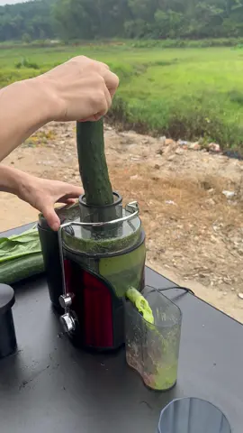 800W Juicer Machine with Wide 