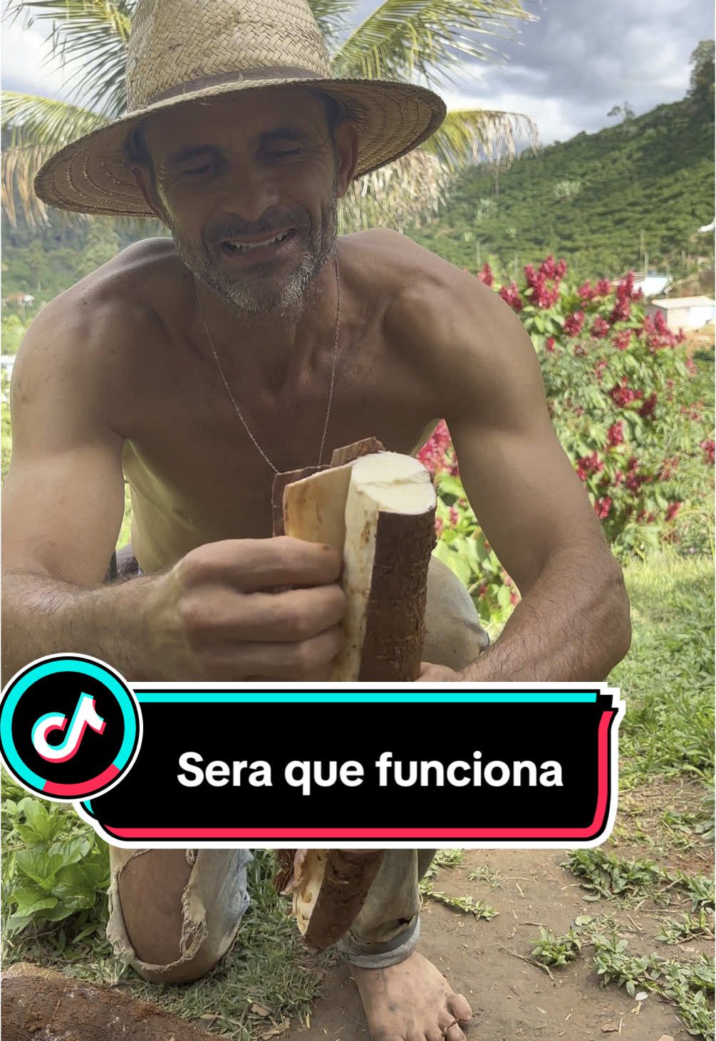 Olha só isso #agro #trabalhomanual 
