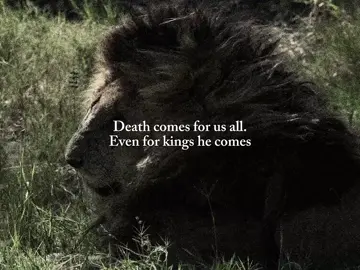 Death comes for all of us #naturepilled #nature #depressing #animalappreciation #scarfacelion #pagan #141 