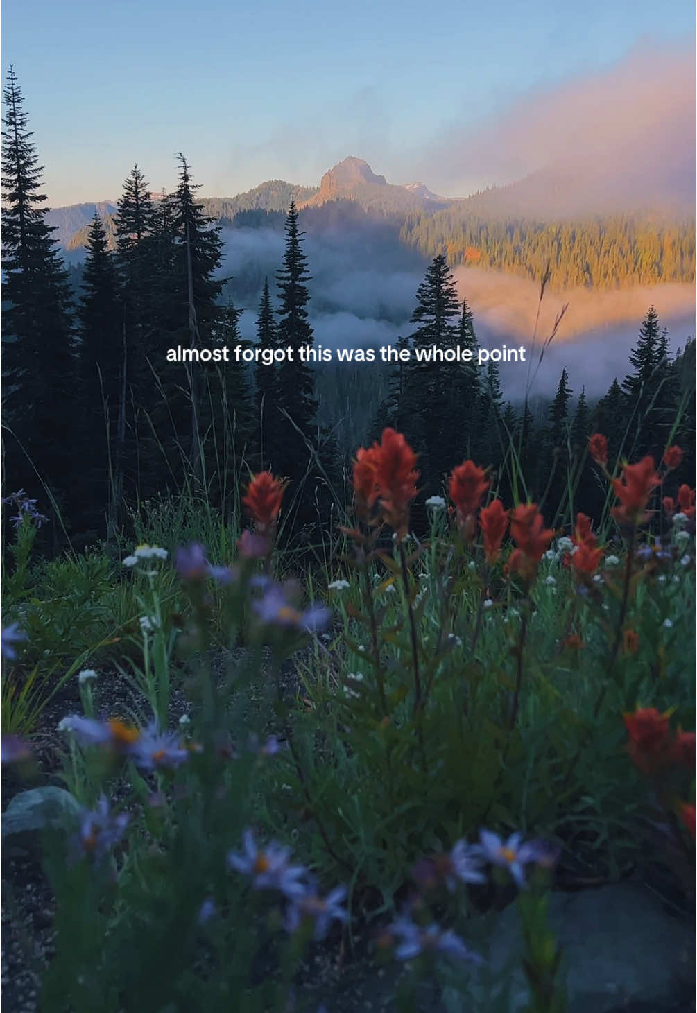 Nature was always the answer 🍃 #naturetherapy #pnw #Hiking #optoutside  #nature #washington #oregon #california #wyoming #roadtrip #travel #sunset #fog 