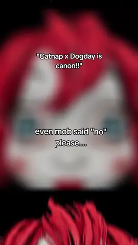 why do catday shippers feel the need to say 