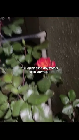 Varsa elə qız tapsın məni😂😂
