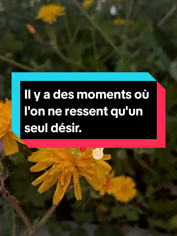 Il y a des moments où l'on ne ressent qu'un seul désir.😥 #motivation #conseil #citations #france🇫🇷 #belgique🇧🇪 #fypシ #pourtoi #motivationalvideo #leçon #de #vie #motivation #algérie #tounesie🇹🇳 #maroc #torkia🇹🇷 #tiktok #fyp #foryoupage #viralvideosofficial 