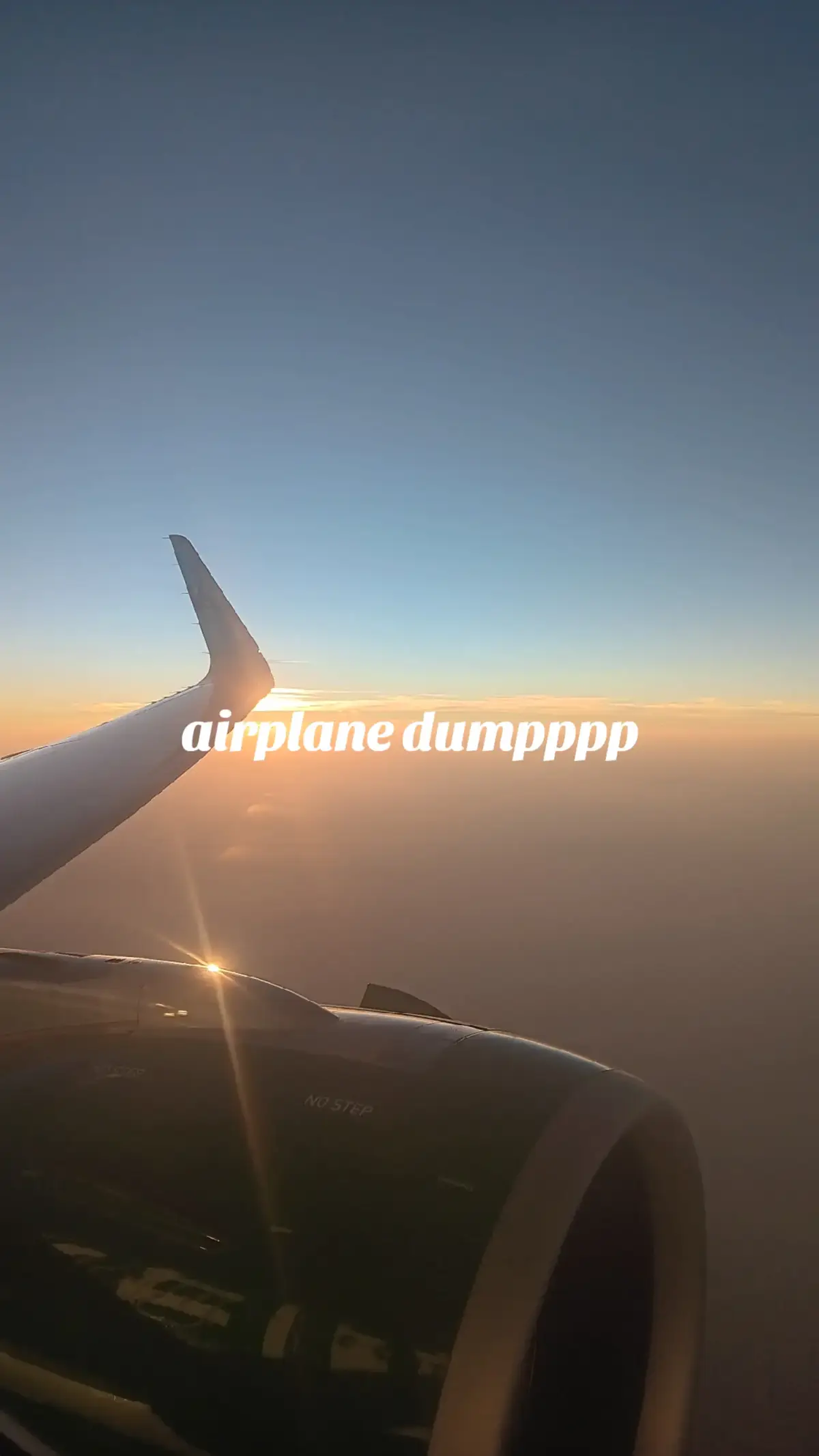 #fyp #airplane #airplanedump 