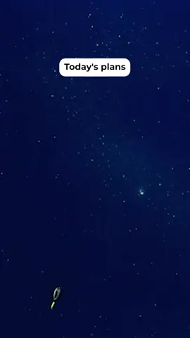 we all know what day it is