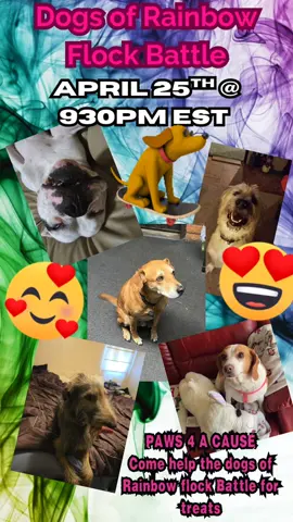 #live #livematch #battle #dogsoftiktok #creatorsearchinsights #dogs #agency #agencybattle @RainbowFlock @R&OFoxysNightmares @PoseidonsWaterGoddess🔱🧜🏻‍♀️ @Kellie Lynn @QueQuieresCrazyCandyLady🍭🍬 
