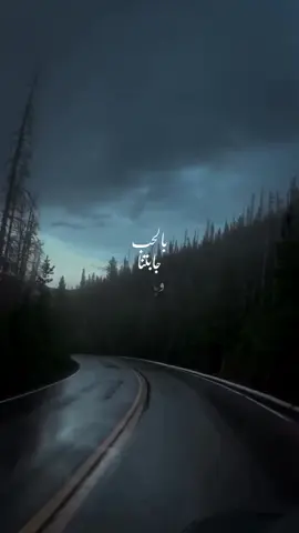 #يافاطمة_الزهراء #يافطمه_الزهراء_دخيلج_فرحي_كلب_كل_مهمو #يافاطمه 