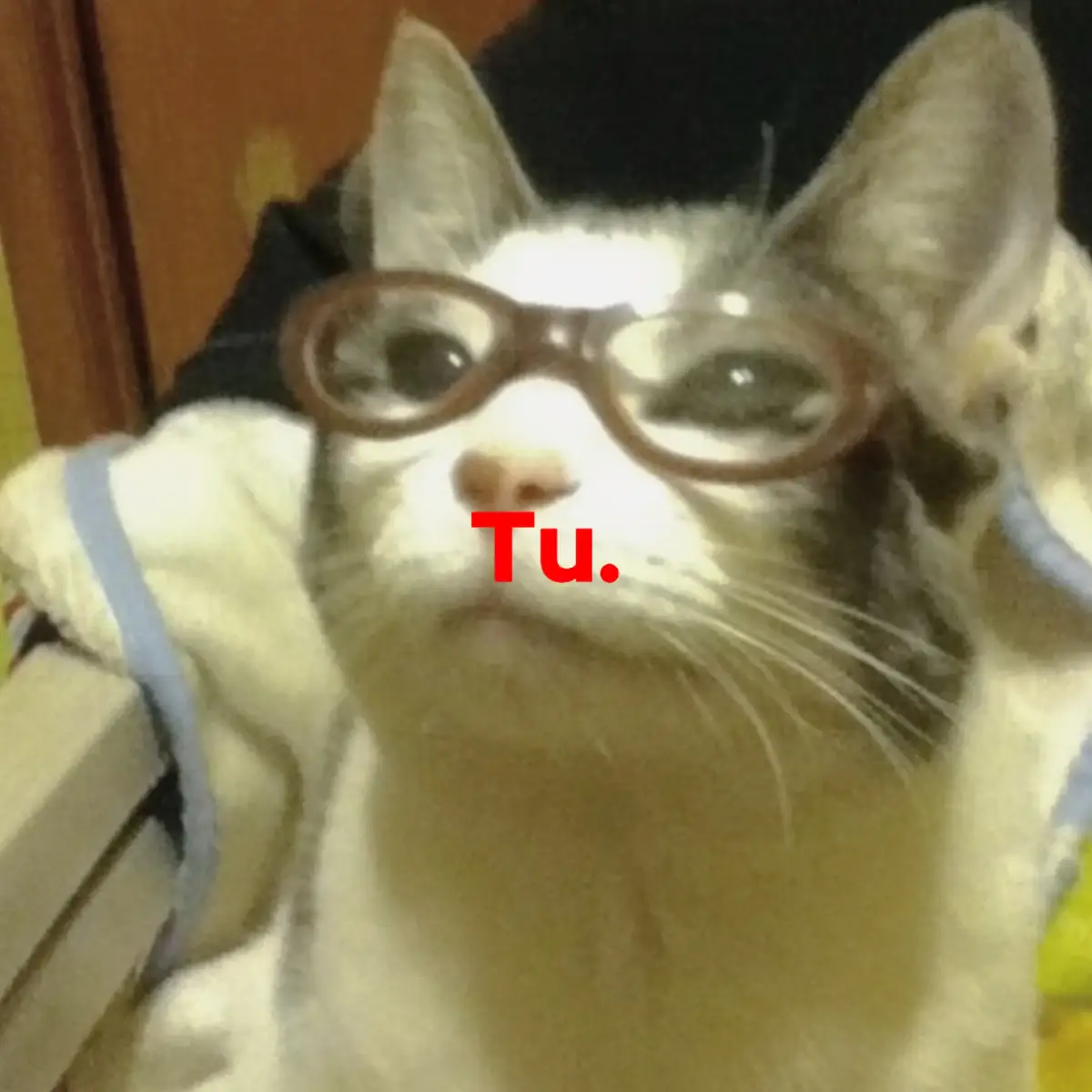 Eres tu, igualitos 🙀 #dedicar #textorojo #novios #humor #identificarse #tu #erestu #paraella  @Ali yo amo a mi chica de lentes 💗
