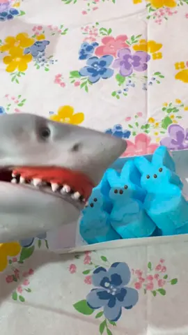 Peeps #easter #sharkpuppet #foryoupage 