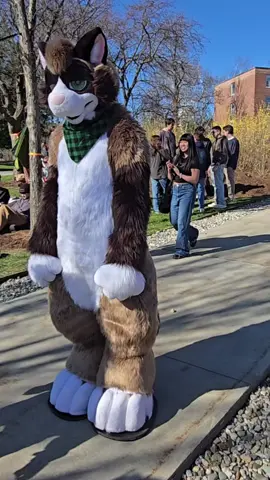 happy Easter UVM 🙌 🍃 #furry #fursuit #420 #UVM #Vermont #furry 