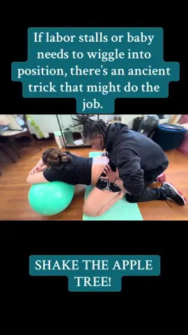 “Shaking the apple tree” is a term used by some birth workers to describe a technique that involves rhythmically jiggling or gently shaking a laboring person’s body—usually the hips, belly, or thighs—to help: 	•	Release tension 	•	Encourage baby to shift position 	•	Stimulate progress in labor 	•	Relax the pelvic floor and fascia 	•	Ease discomfort through movement and rhythm It can be done with a rebozo, hands, or even a birth ball, depending on what part of the body is being worked with. The motion is not rough—think of it like giving a little “wake-up nudge” to the baby and body. It’s commonly used when labor stalls or when a baby might need help getting into a better position. Midwives, doulas, and traditional birth attendants often refer to this with a bit of playful imagery—like “shaking the apple tree” to get the baby to drop, just like ripe fruit. #pregnant #pregnancy #birthprep #pregnantlife #christiantiktok #momsoftiktokover40 #pregnantlife #pregnant🤰 #pregnanttiktok 