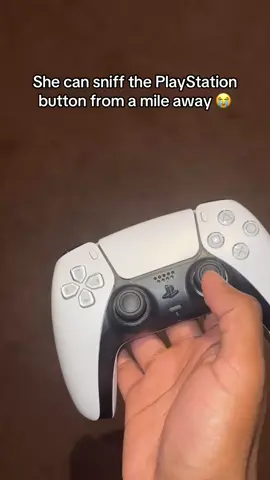 PS5 time 🎮 @Barstool Gametime (via:@DILLON HETT) 