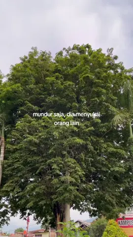 #tumpukankata🥀 #tumpukankata 