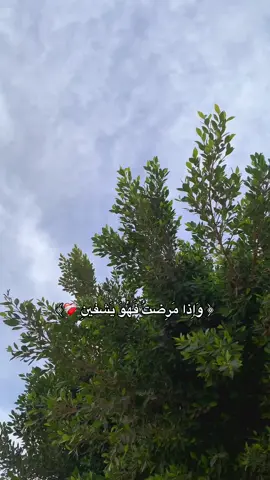 سـورة || الشعراء: 80🌸. #القارئ_ماهر_المعقيلي #قران_كريم #صدقة_جارية #قران #foryour #quran 