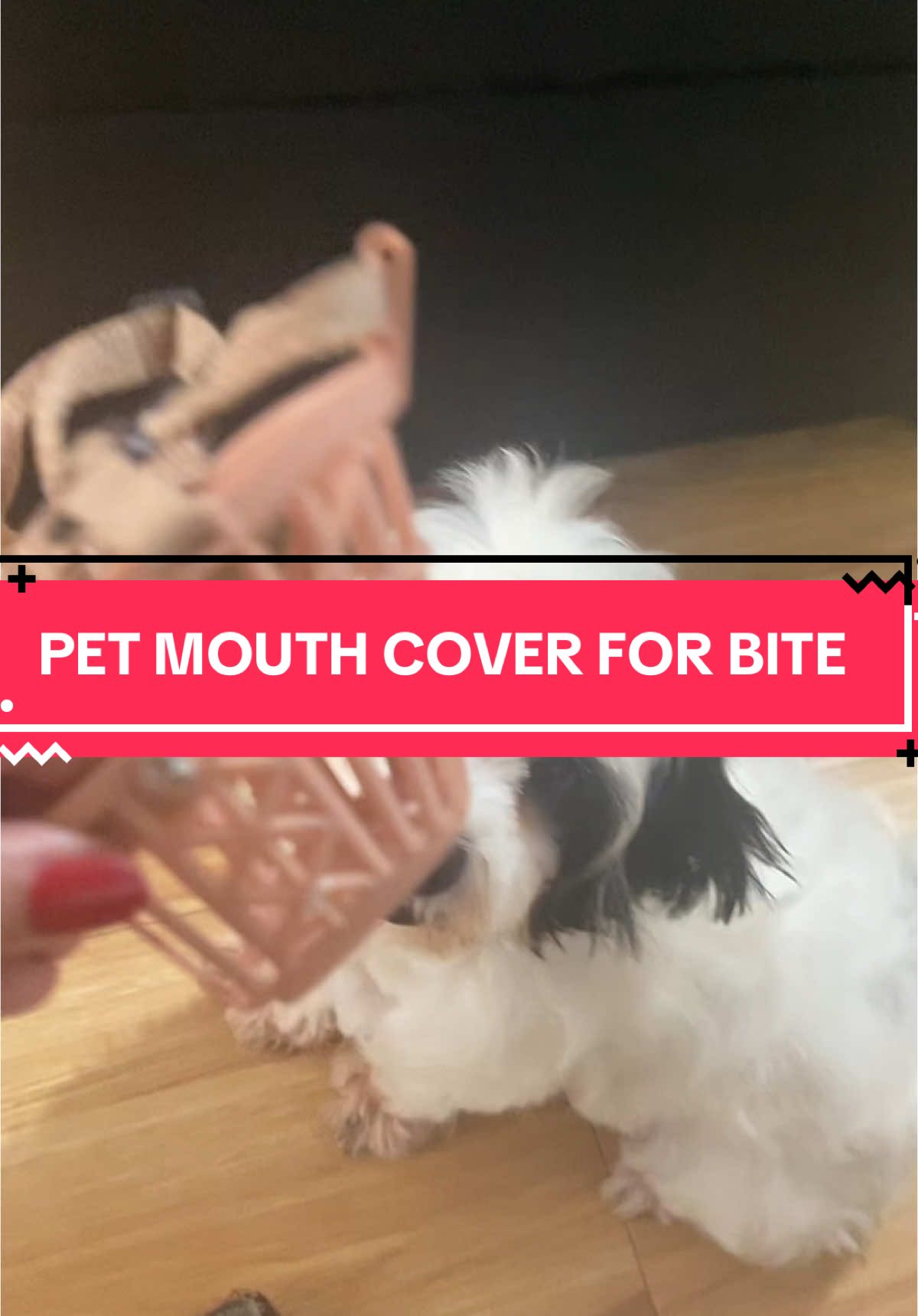 Pet Mouth Cover Adjustable Muzzle Basket #dogprotectionforbite  #petmouthcoveradjustable #petmouthguard  #promote  #fyp 