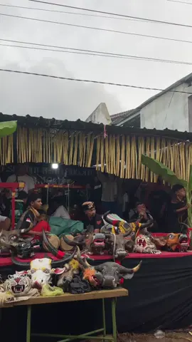 BANTENG MACAN PUTIH SIMO PETHAK LIVE DESA SEDUDUT PART (3) @simo_pethak_indonesia #BANTENGANMALANG #PENGUASAPADANGSAVANA #pendikfradanachannelyoutube