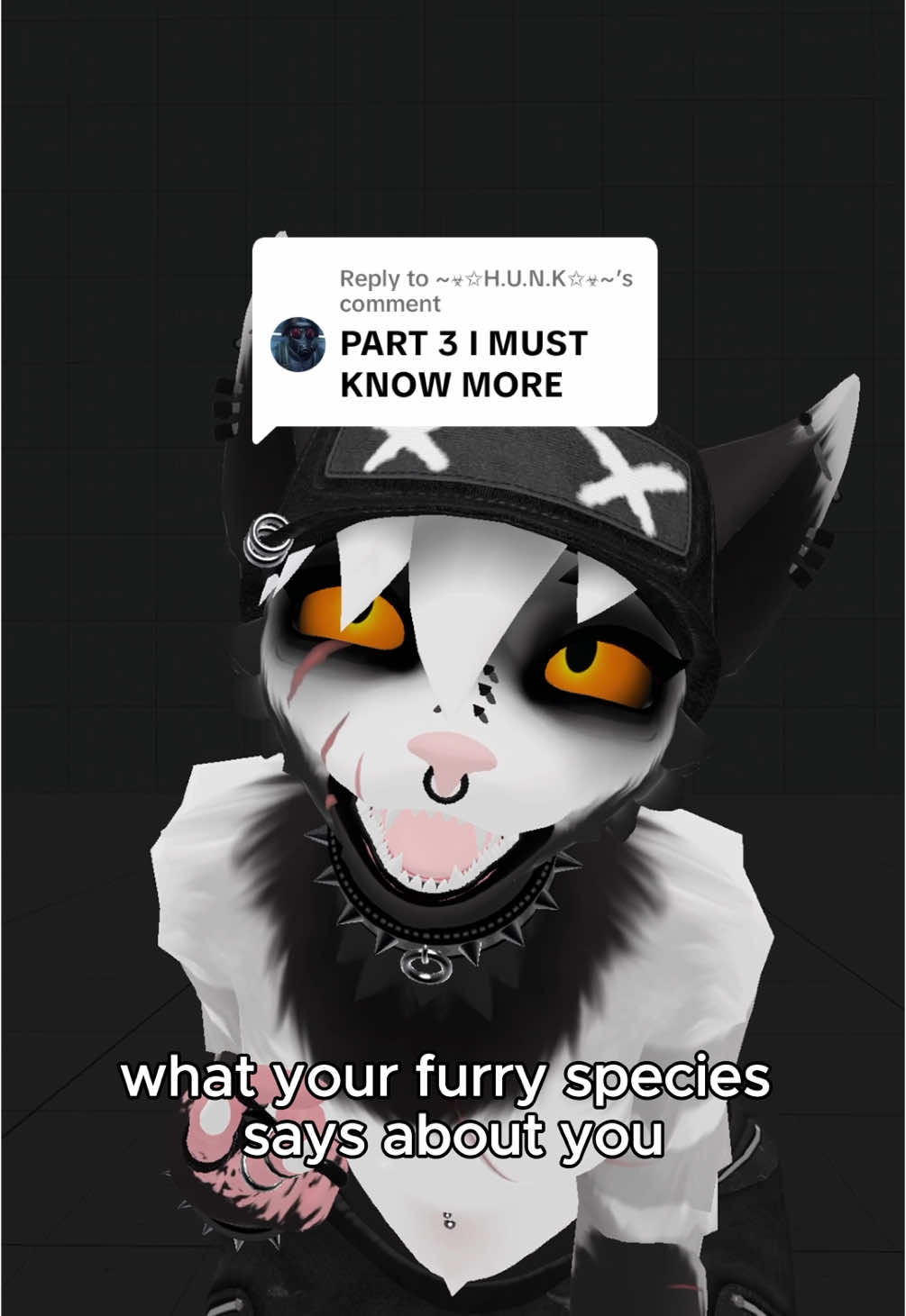 Replying to @~☣︎✩H.U.N.K✩☣︎~ Roasting EVEN MORE Furry Species Pt.3 Again… PLEASE DONT PUBLICLY HANG ME 🥹 #furry #furrytiktok #furryspecies #fursona #vrchatcommunity #furryfandom #vrchatfurrycommunity #vrcfurry #furrys #vrchatfurry #VrChat 