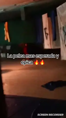 Alfa VS Beta🔥🔥 @Fede Vigevani #fedevigevani #terror #dmd #paratiiiiiiiiiiiiiiiiiiiiiiiiiiiiiii #pinchetiktokponmeenparati #pinchetiktokponmeenparatialv #beta #alfa #noflopplease #noflop #flop #viral #paratiiiiiiiiiiiiiiiiiiiiiiiiiiiiiii #viral #Viral #Viral #fyp #Viral #fyp #Viral #fyp #Viral #fyp #Viral #fyp #edit #video #CapCut #tiktok @TikTok 