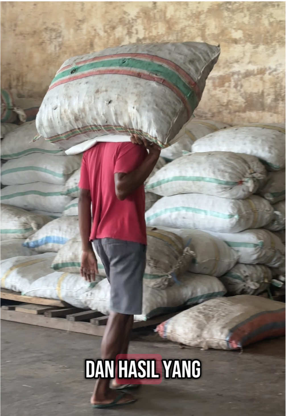 Bawa kopra ke gudang #kelapa #kopra 