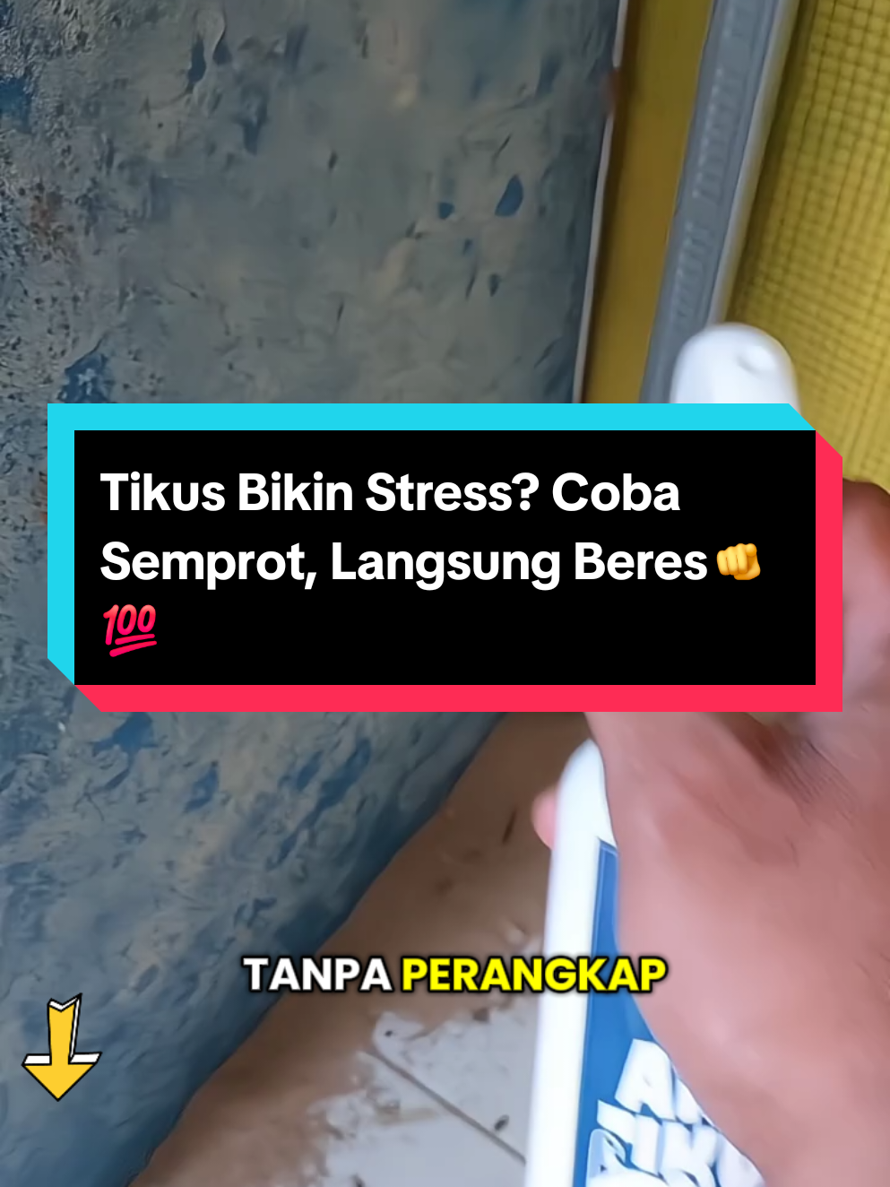 Tikus Bikin Stress? Coba Semprot, Langsung Beres!🫵💯 #hygiena #bebastikustanparibet #antitikus #solusi #hygienaantitikus #foryoupage 