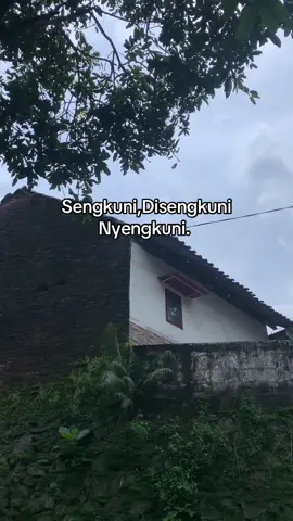 Jenenge bunglon, beda tempat beda warna🤪👋🏻 #kphgank #pasuruan24jam #berandatiktok 