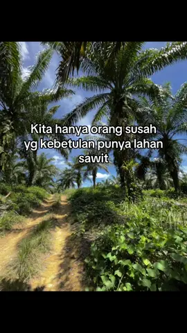 🤣#kuli #petanisawit #petanimuda #sawitontiktok 