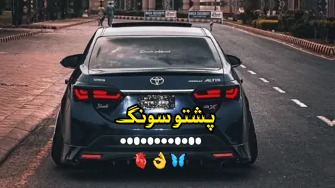 پشتو شایستہ سونگ 🔥🤍🎧#foryou #viral #trending #foryoupage #ہلمندی_شہزادہ👑 