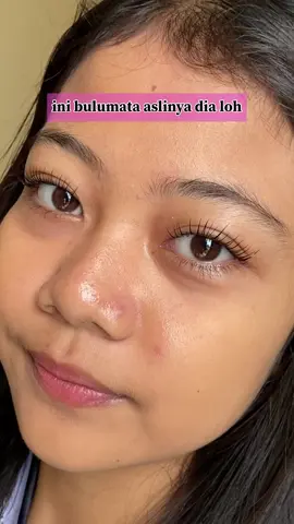 Sampe dikira pake bulumata palsu😍🫶🏻 #kursuslashlift #courselashliftmalang #kursuslashliftonline #lashliftmalang #threadingmalang #kursuslashliftmalang #lashliftmalangmurah #lashliftmalangkota #lashlifttintmalang 