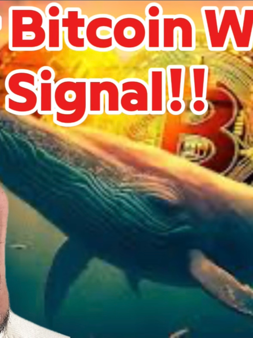 🚨Bitcoin Whales Alert!🚨 This group of BTC Whales have been giving very accurate signals! They are now on a move that is the Biggest of the last 24 months! What's their next big move? #bitcoin #crypto #trading #NASDAQ #Trump #ETH