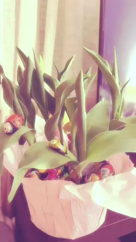 This years Easter… plant?? …basket?? Idk. But my mom slayed. #easter #fyp #twee #ladybug #bumblebee #tulips 