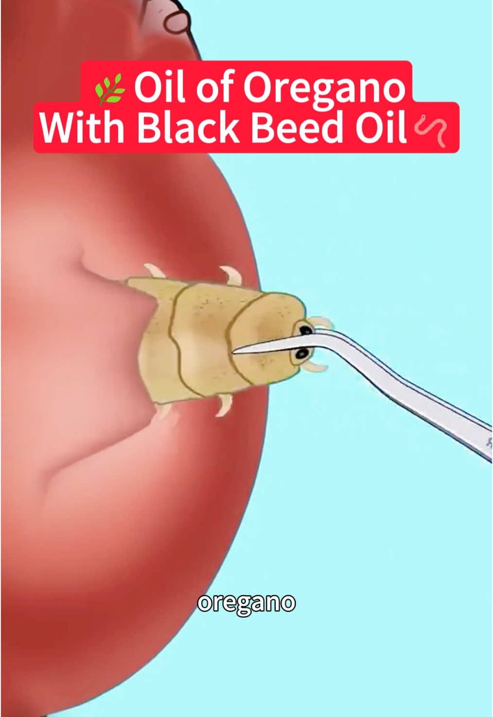 Omgggg😳😳#oreganooil #blackseedoil #guthealth #healthtok #tiktokmademebuyit 