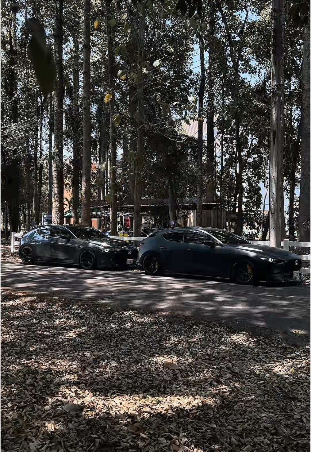 Life 👽… #m#mazda3m#mazda3hatchbackm#mazda32020m#mazdam#mazdaspeedm#mazdaspeed3m#mazdaskyactivm#mazdathailandม#มาสด้าr#revteamthマ#マツダマツダ3@𝐌𝐚𝐳𝐝𝐚³𝐑𝐨𝐜𝐤★ 