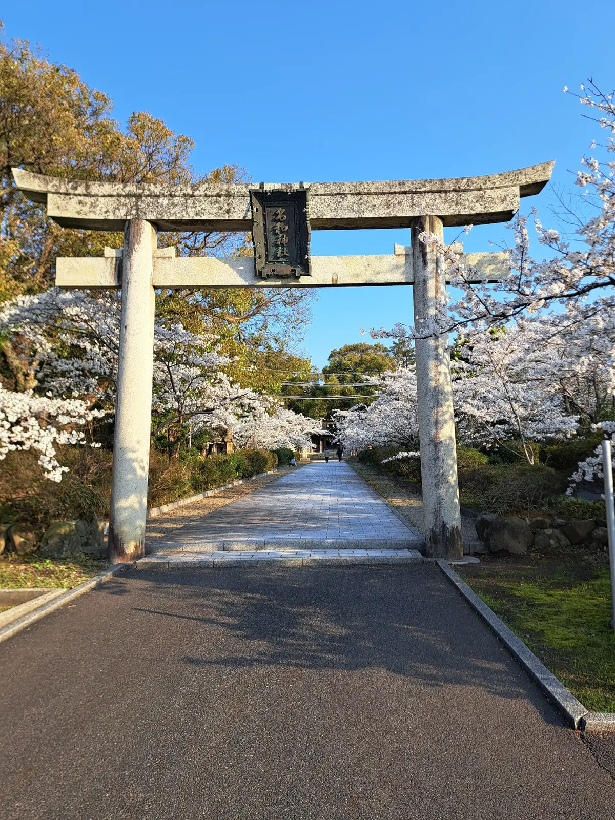 #japanlife #japan 