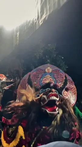 Jroning Tyas Hangidung Tresno #pasukanmekarbudoyo #fyp #jarananindonesia #jawapride #budayaindonesia #fypage #solahbarongan #kediri24jam #barongankediri #kediripride #jaranankediri #budoyojawi #jarananjawa 
