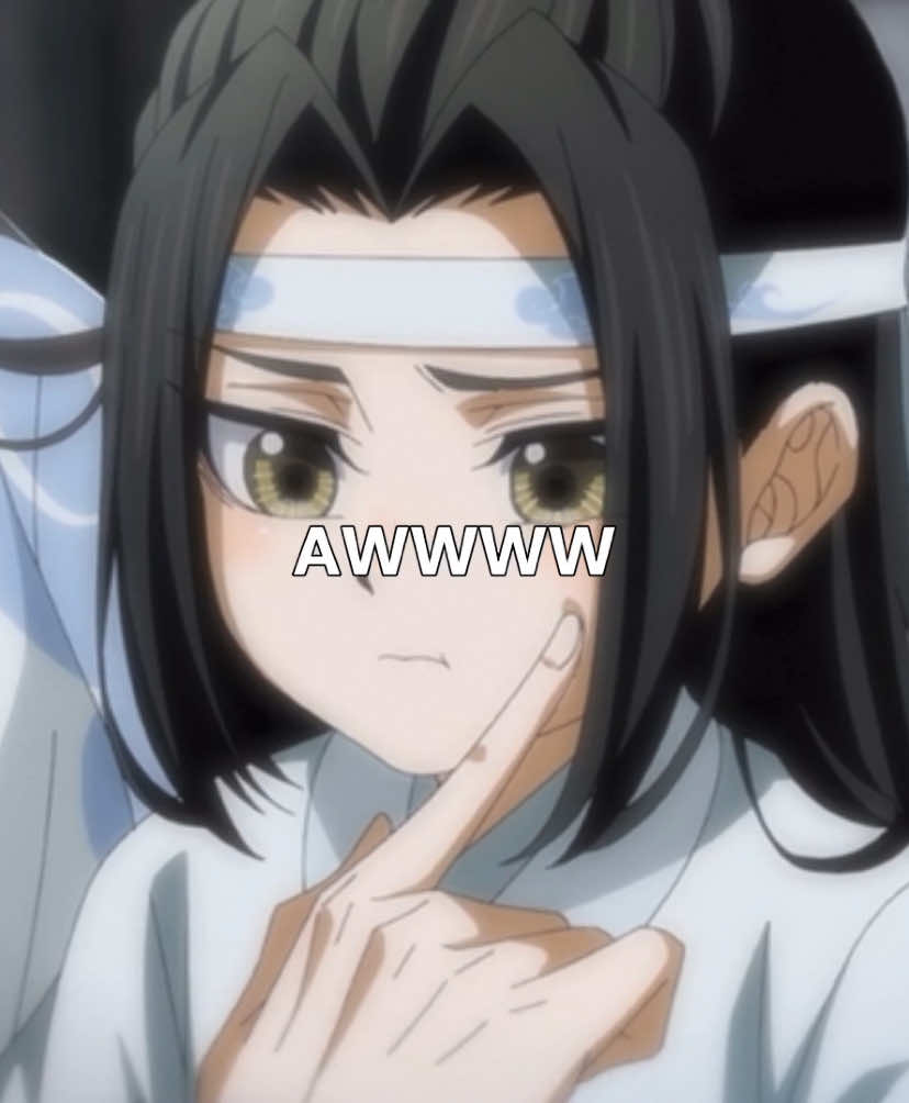 #modaozushi #lanzhan #lanwanji 