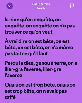 Pas le temps-Nerih (version étendue)#pourtoi #nerih #pasletemps #spotify #lyricsongs #fullsong #remix